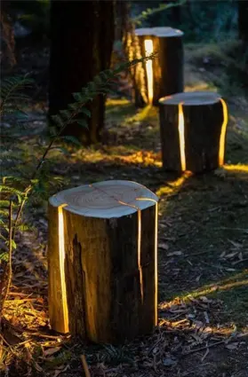 Buturuga luminoasa lemn